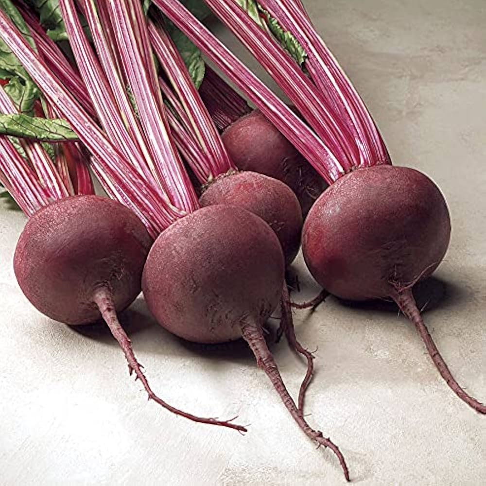 Red Ace beet plant from seeds with smooth, round red roots and healthy green leaves